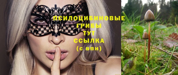 скорость Великий Новгород