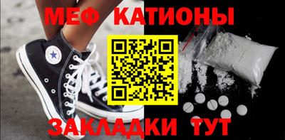 прущие грибы Гатчина