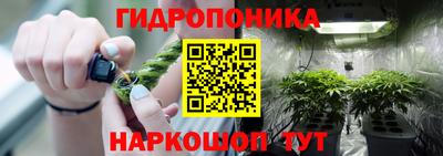 дурь Гай