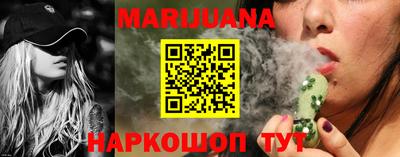 прущие грибы Гатчина