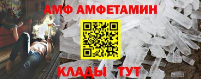 прущие грибы Гатчина