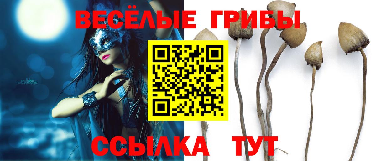 Галлюциногенные грибы мухоморы Майский