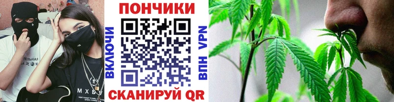 Бошки марихуана марихуана  Майский 